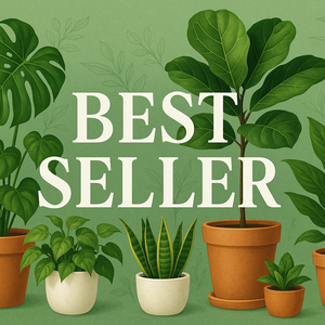 Лучшие продукты