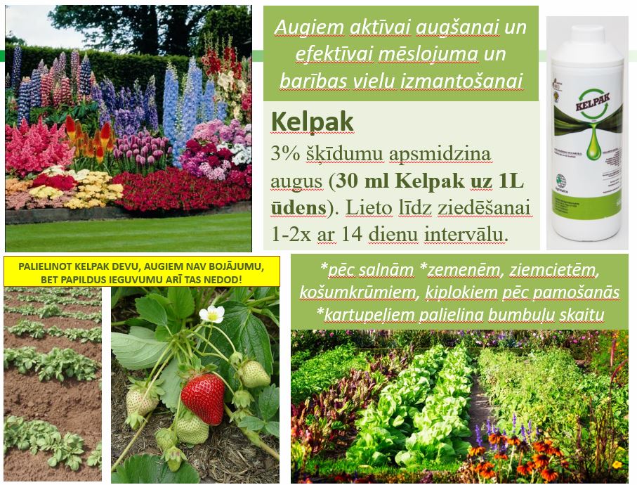 Удобрение способствует росту и укоренению Kelpak 125ml
