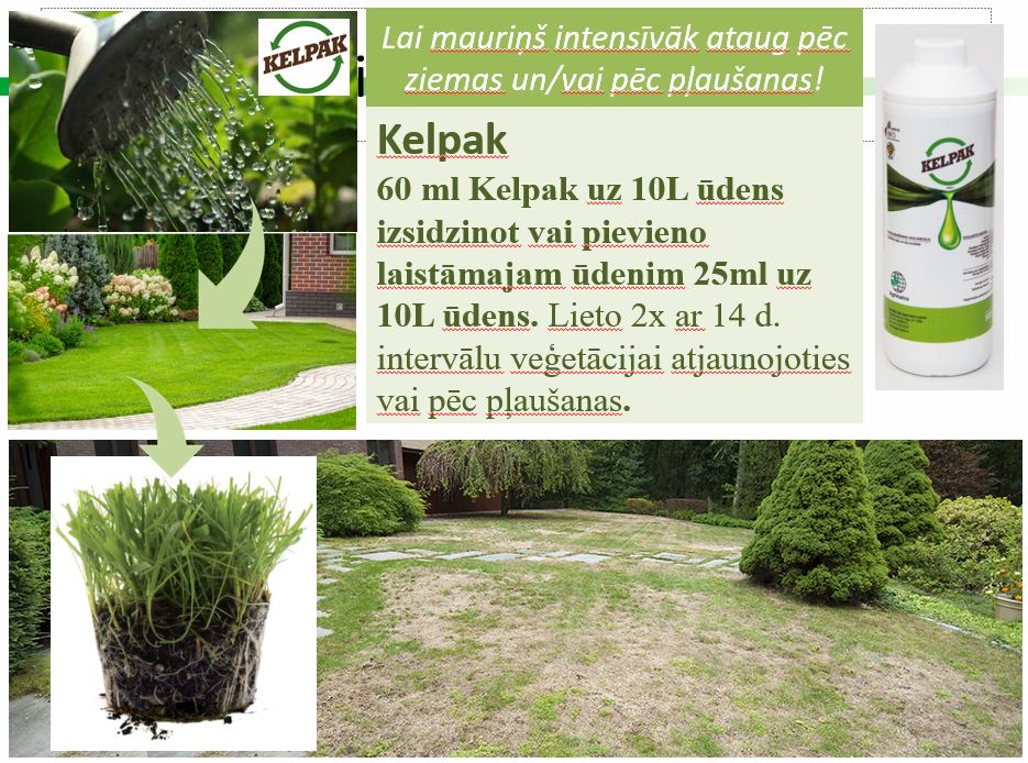 Удобрение способствует росту и укоренению Kelpak 125ml