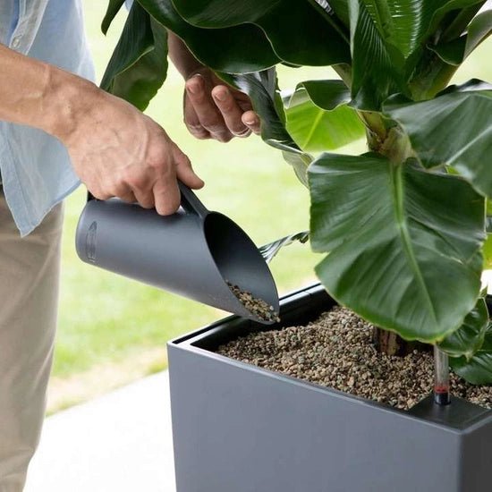 Lechuza Pon - www.augi-plants.lv