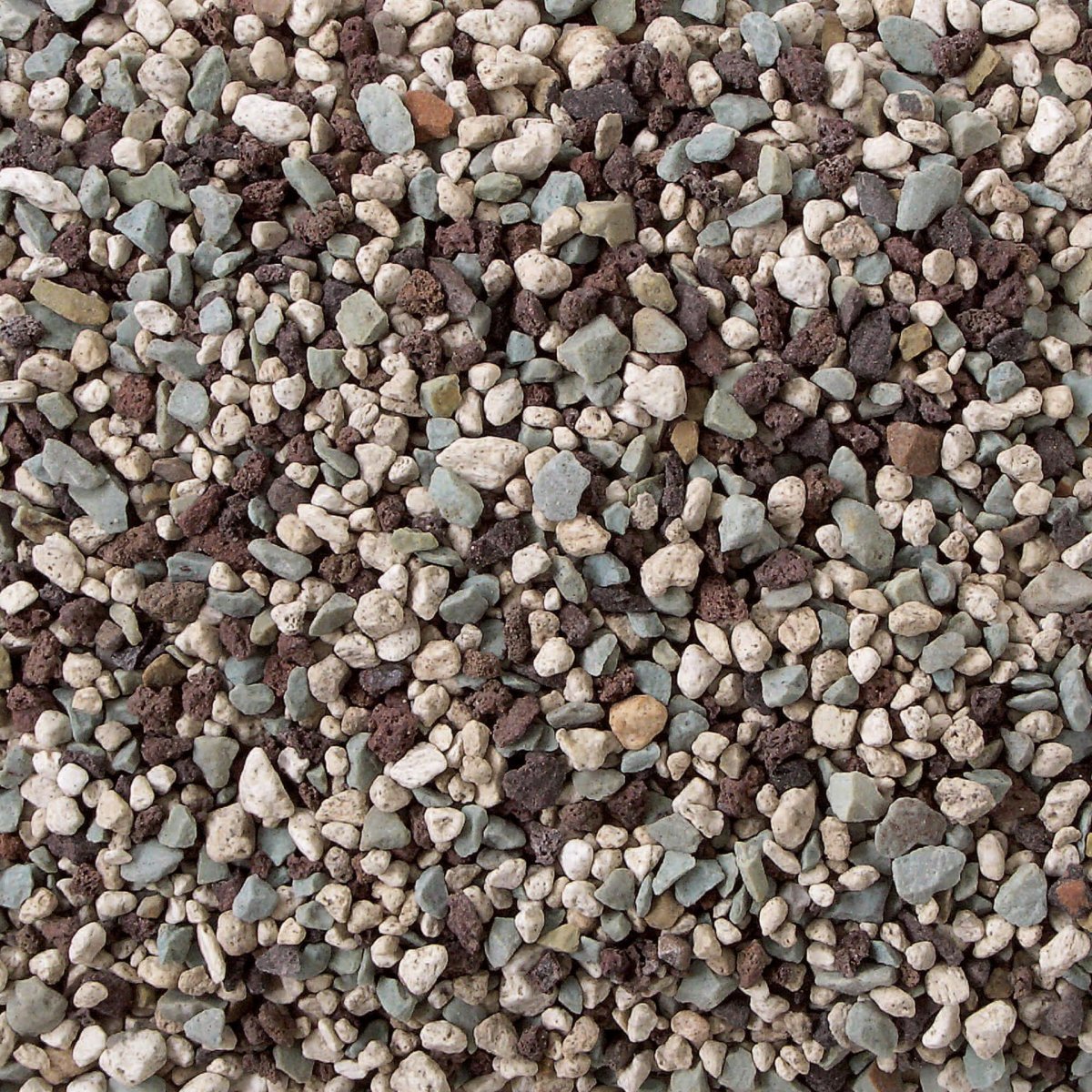 Lechuza Pon - www.augi-plants.lv