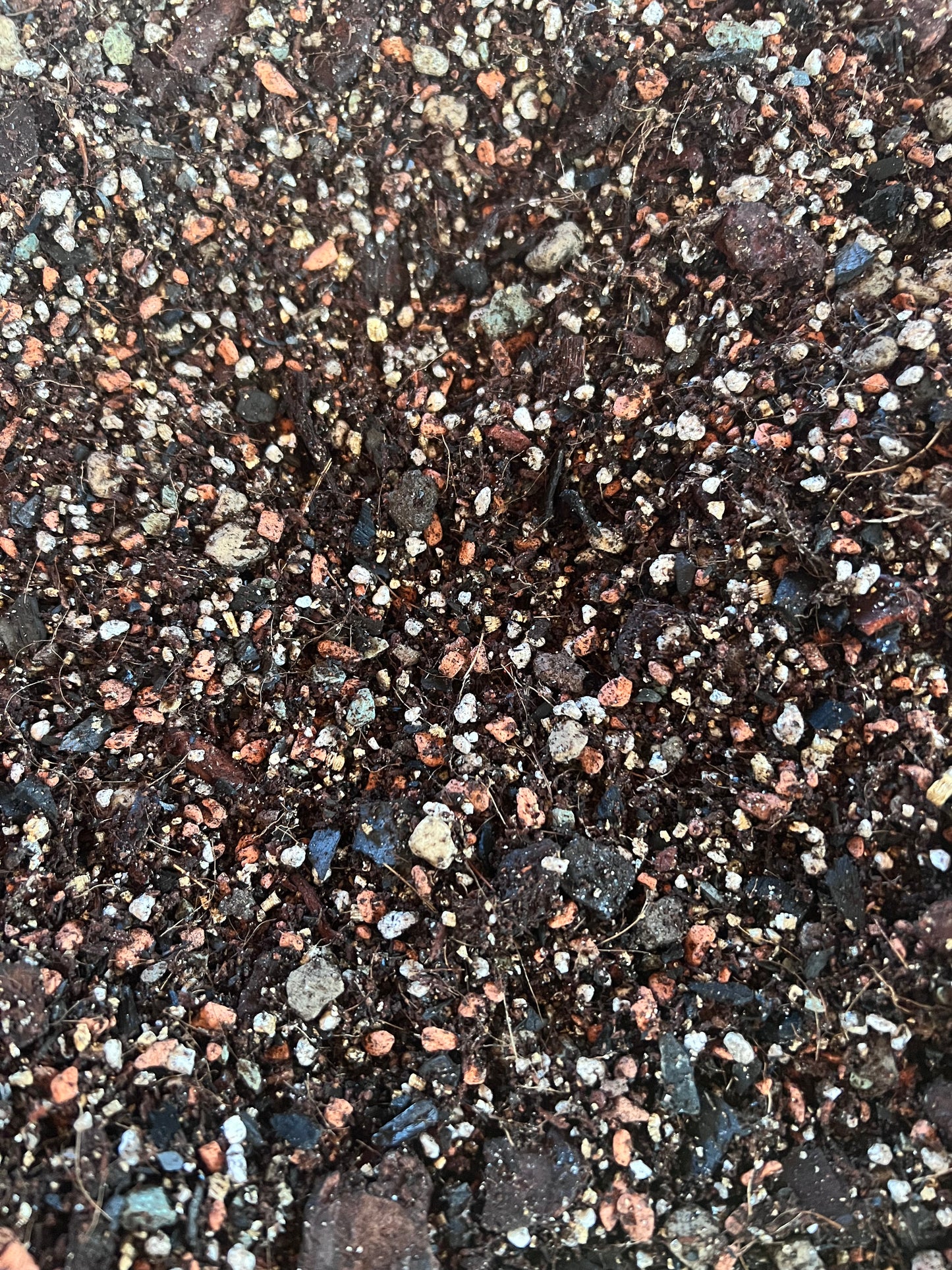 Telpaugu augsnes iepakojums premium klases - www.augi-plants.lv