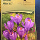 Crocus