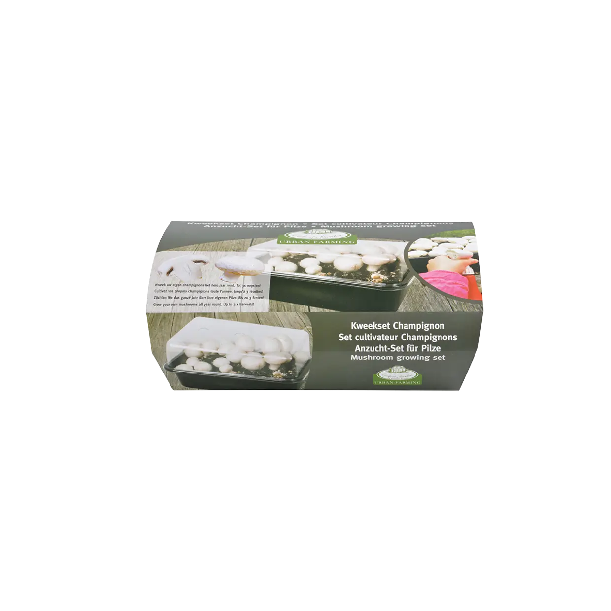 Mushroom Growing Kit