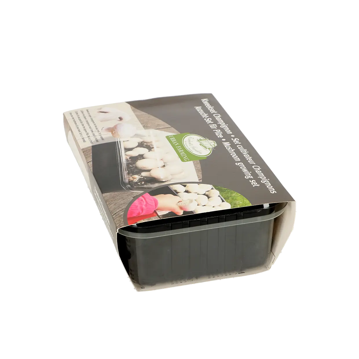 Mushroom Growing Kit