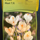 Crocus 2