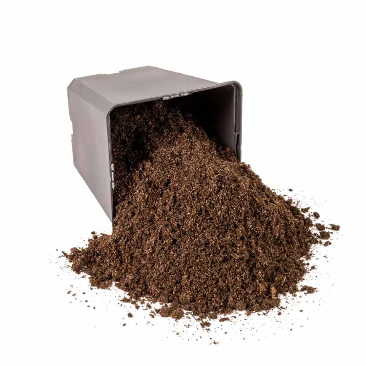  Soil Healthy start for seeds and cuttings SEEDING&CUTTING 25L