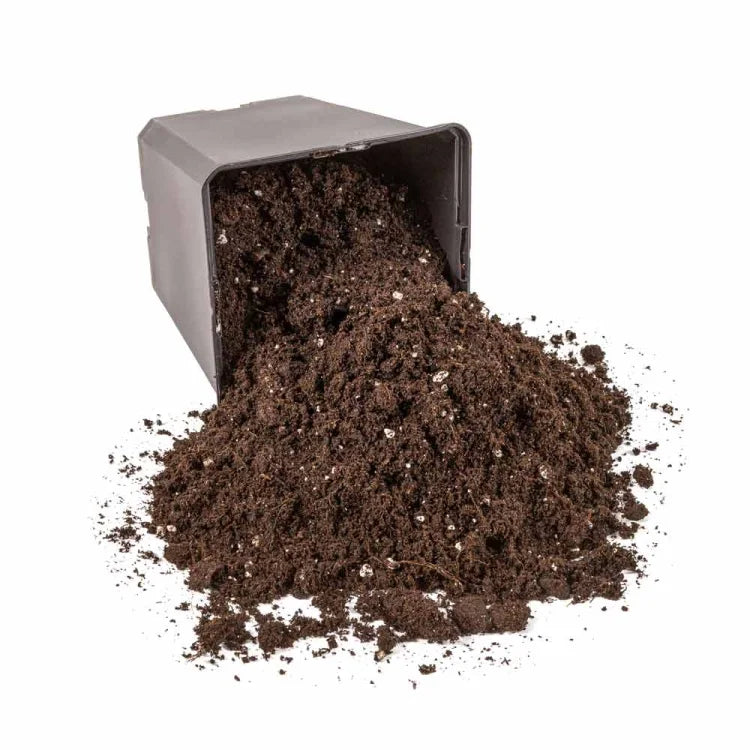 Soil with bat fertilizer Bat Guano BATMIX 25L
