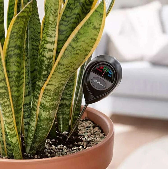 Lechuza soil moisture meter