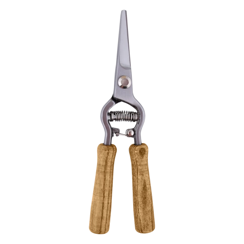 Plieninės žirklės