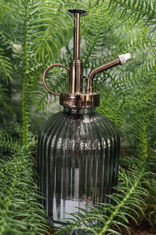 Glass spray bottle