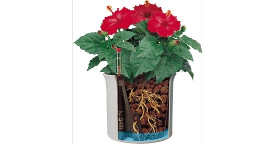 Hidroponikas puķu podi LENI - www.augi - plants.lv
